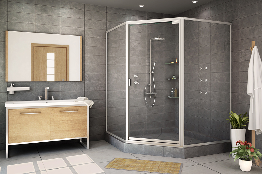 Bathroom standard shower door